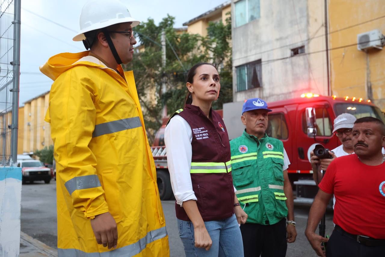 uploads/6/32/01 (800).Jpeg